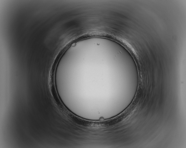 X0000093480487200710120957