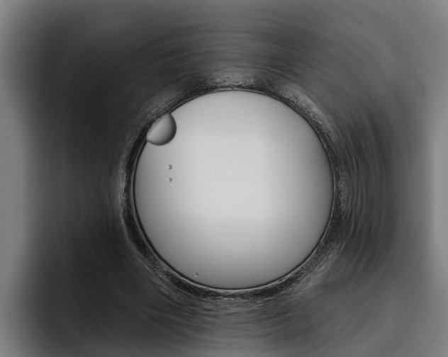 X0000093480490200710120957