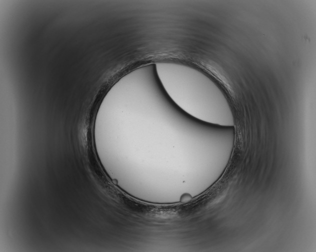 X0000093480491200710120957