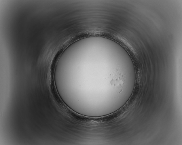 X0000093480494200710120957