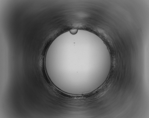 X0000093480495200710120957