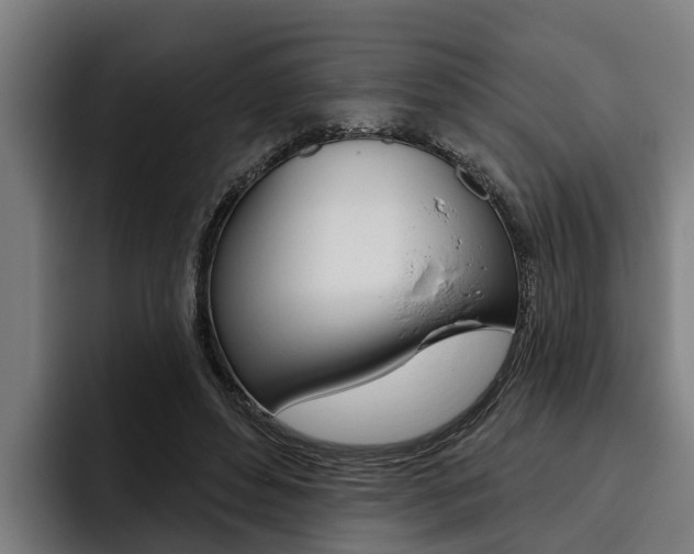 X0000093480496200710120957