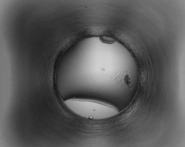 X0000093480497200710120957