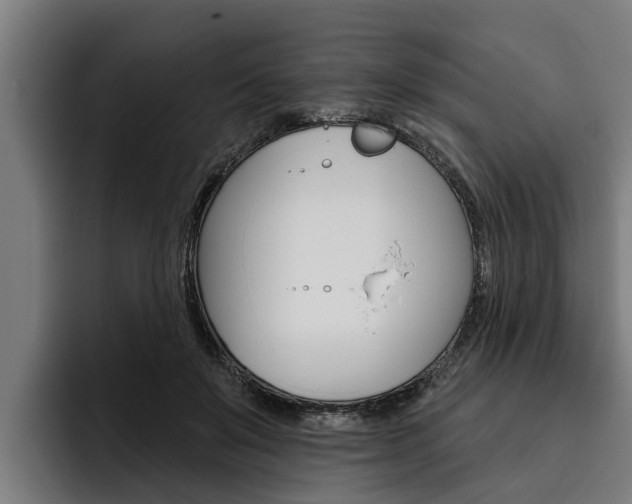 X0000093480503200710120957
