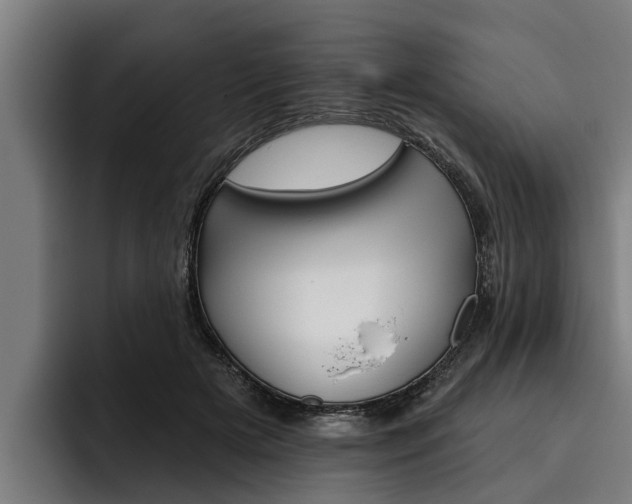 X0000093480505200710120957