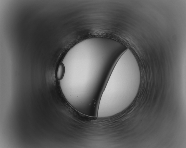 X0000093480508200710120957