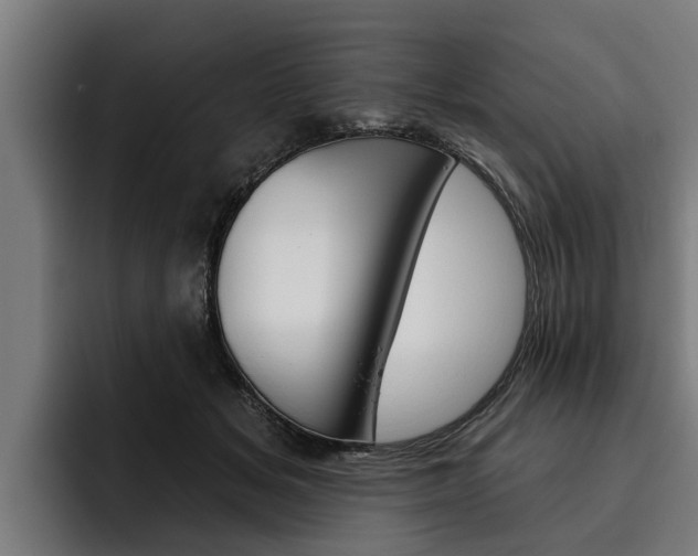X0000093480509200710120957