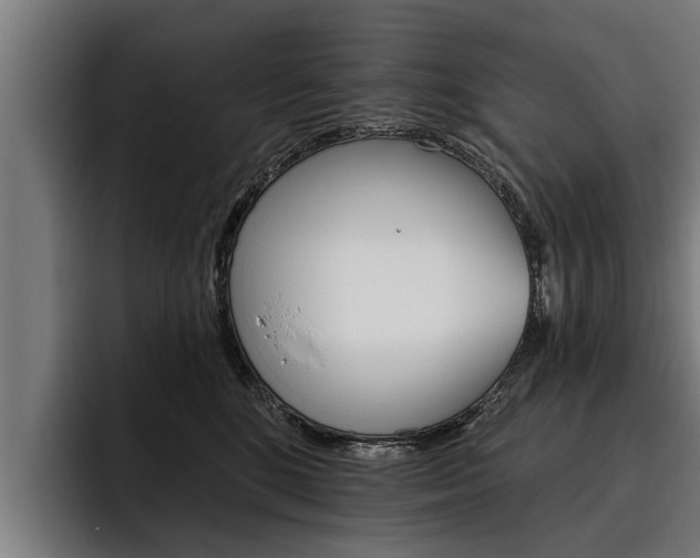 X0000093480520200710120957