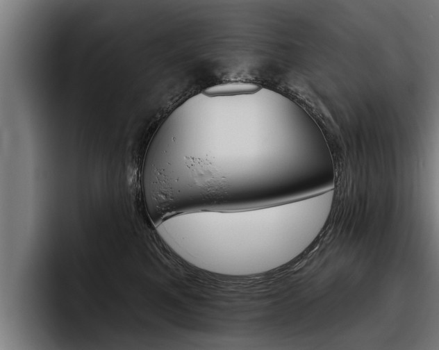 X0000093480521200710120957