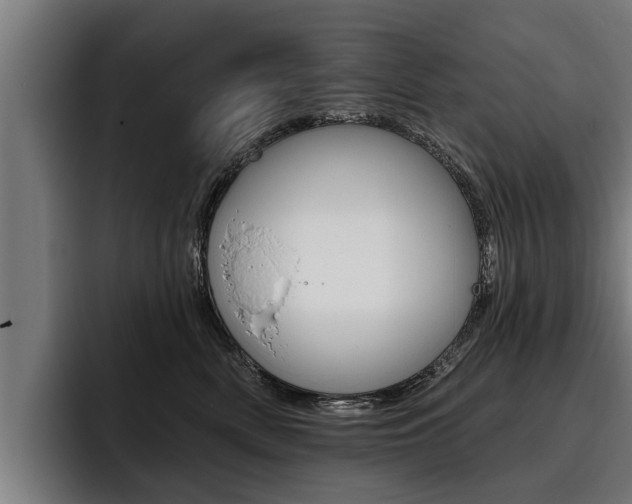 X0000093480522200710120957