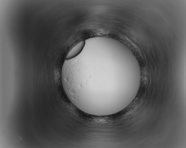 X0000093480523200710120957
