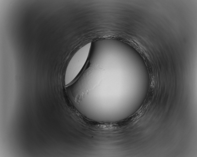 X0000093480524200710120957