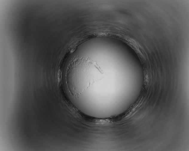 X0000093480525200710120957