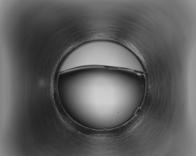 X0000093480530200710120956