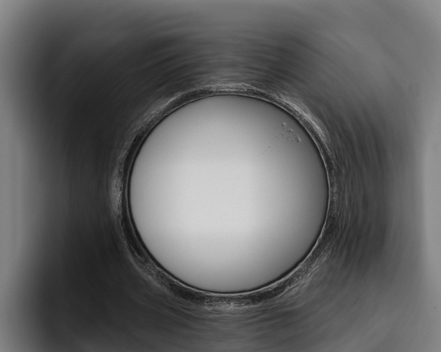 X0000093480533200710120956