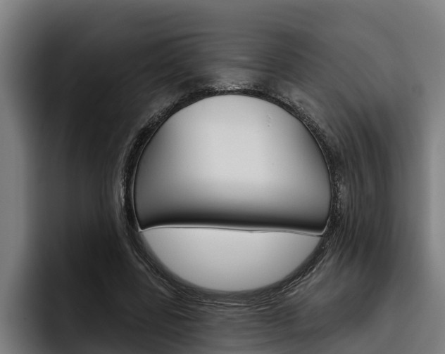 X0000093480539200710120956