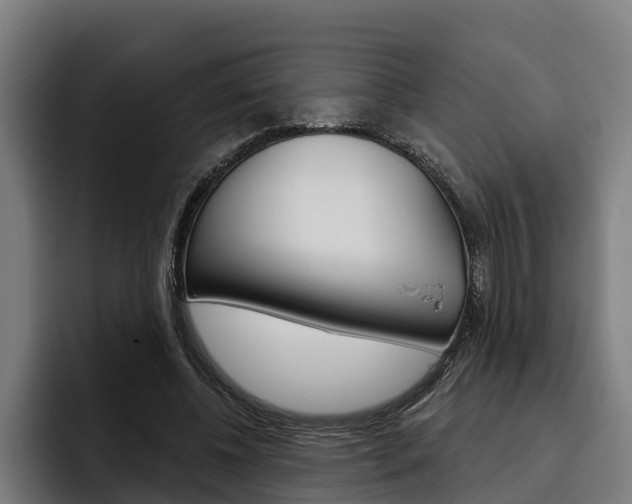 X0000093480540200710120956