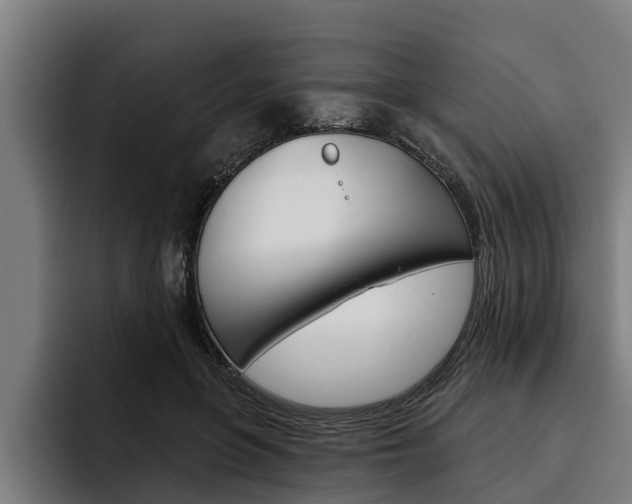 X0000093480551200710120956