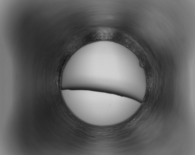 X0000093480553200710120956