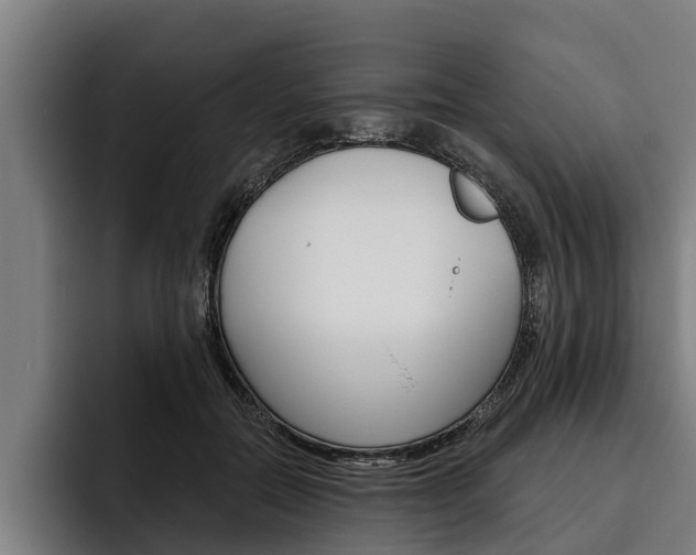 X0000093480554200710120956