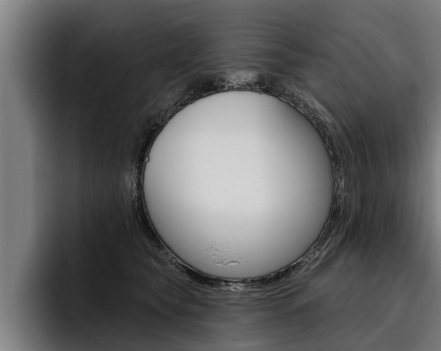 X0000093480565200710120957