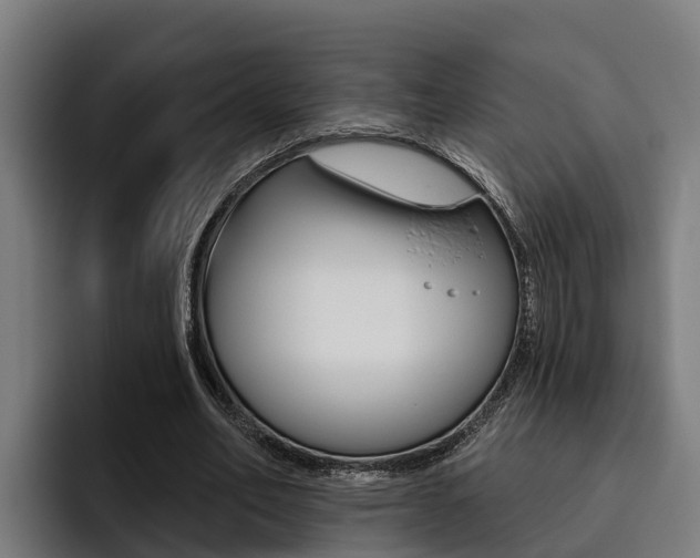X0000093480582200710120956