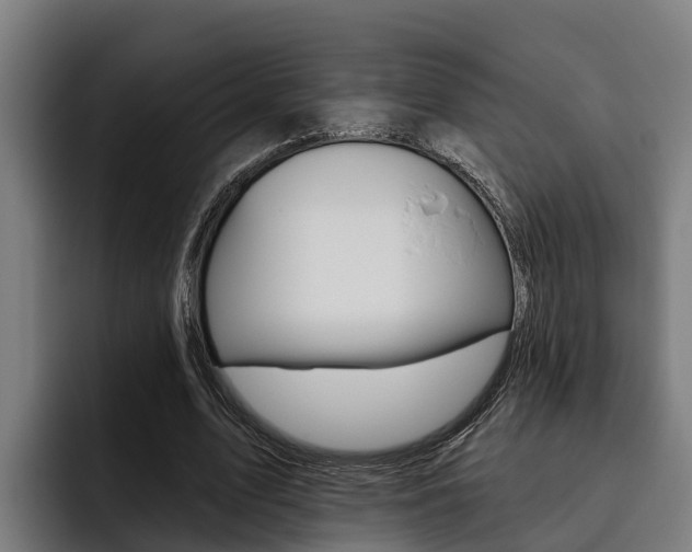 X0000093480583200710120956