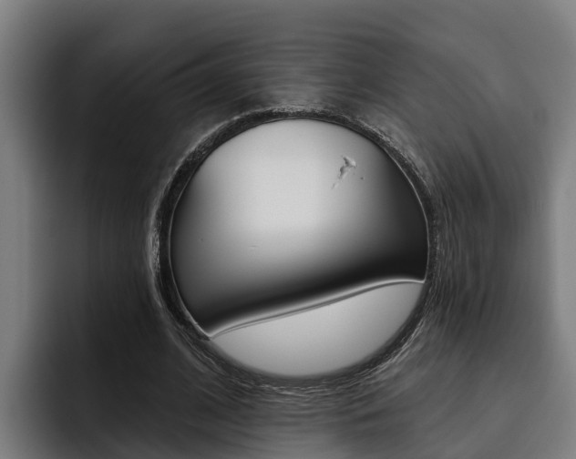X0000093480584200710120956