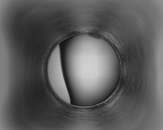 X0000093480585200710120956