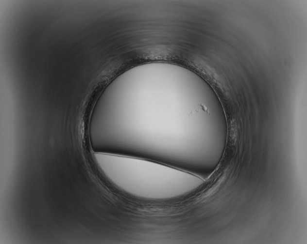 X0000093480589200710120956