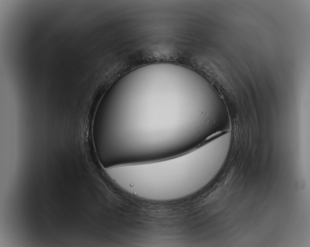 X0000093480593200710120956
