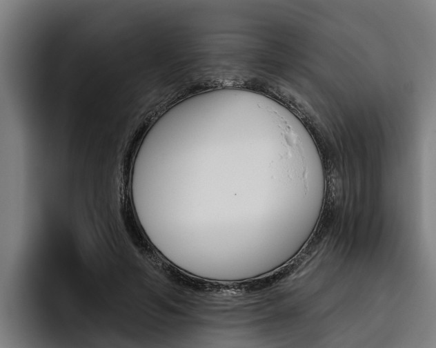 X0000093480594200710120956