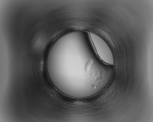 X0000093480596200710120956