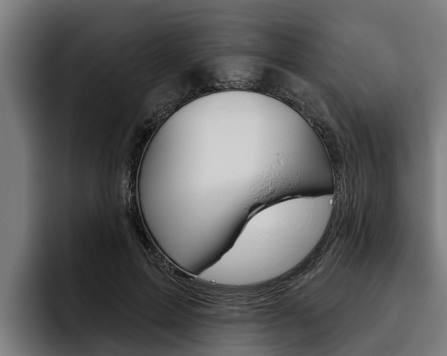 X0000093480599200710120956