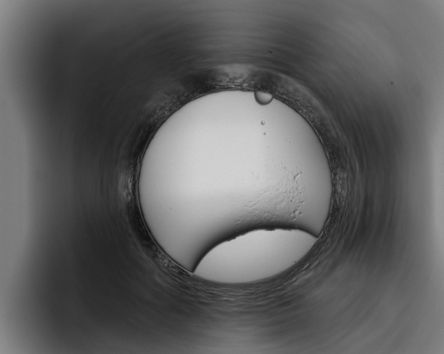 X0000093480602200710120956