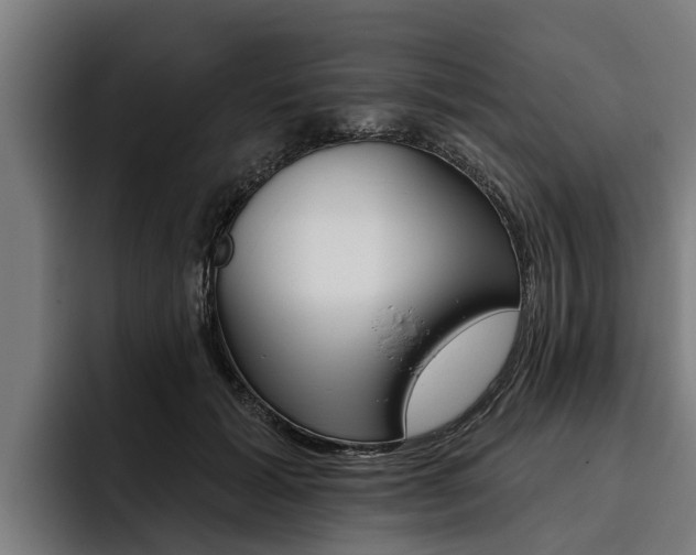 X0000093480605200710120956