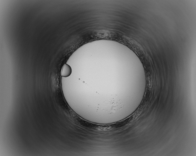 X0000093480606200710120956