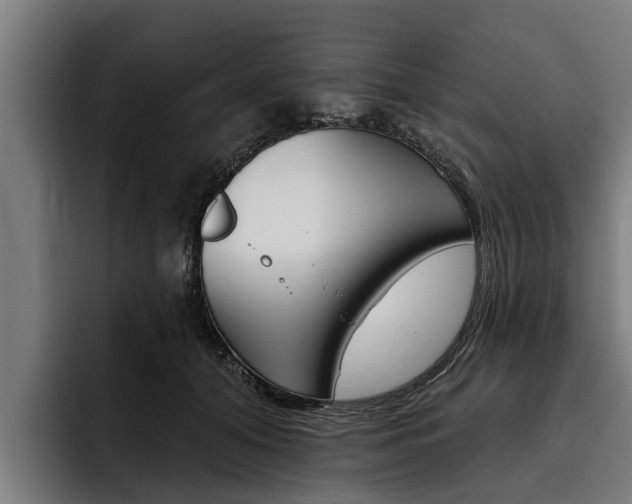X0000093480608200710120956