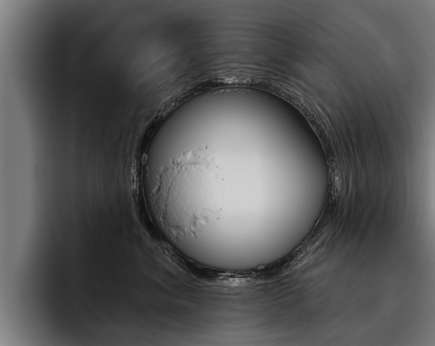 X0000093480620200710120956