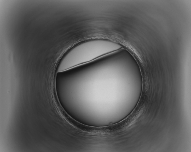 X0000093480625200710120955