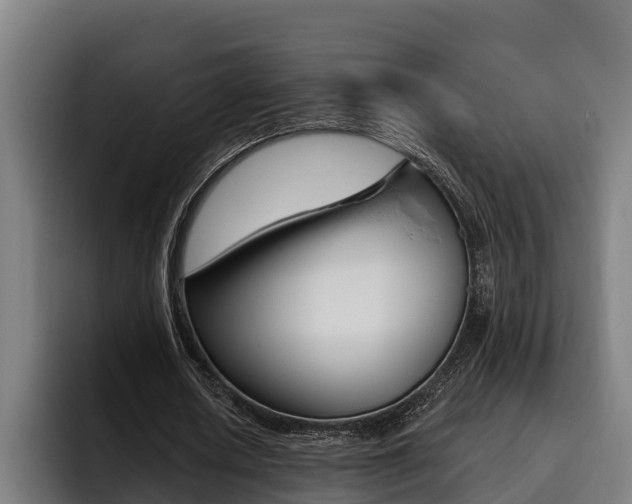 X0000093480626200710120955