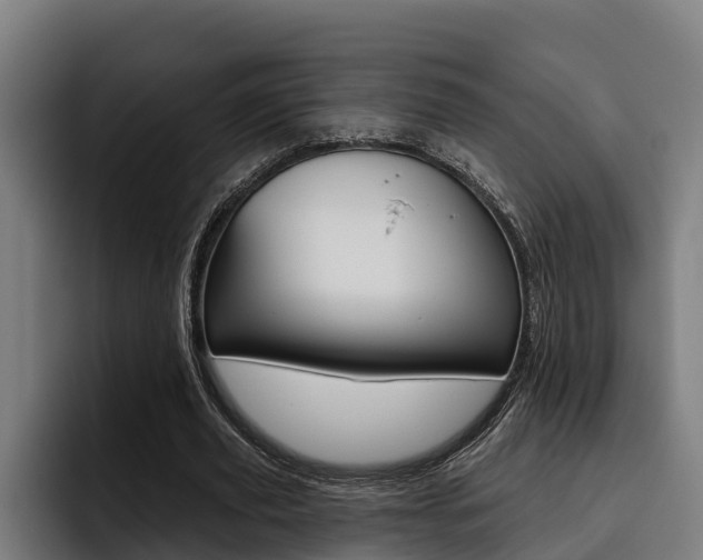 X0000093480629200710120955