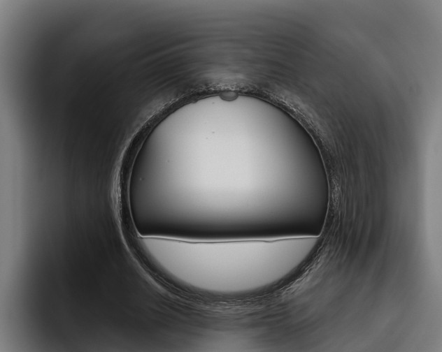 X0000093480630200710120955