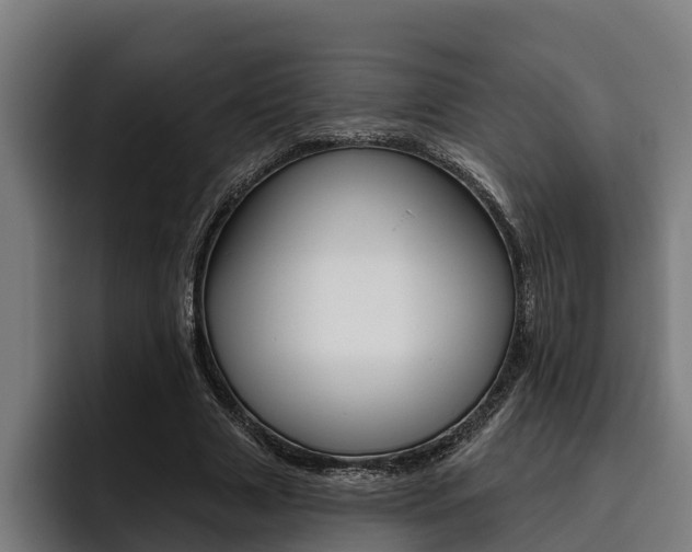 X0000093480633200710120955