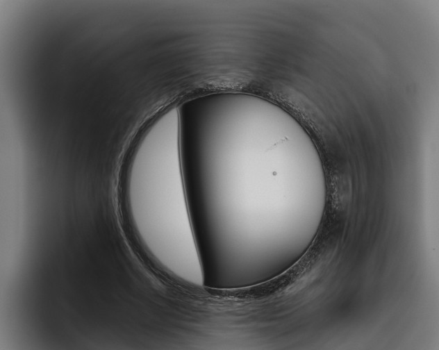 X0000093480634200710120955