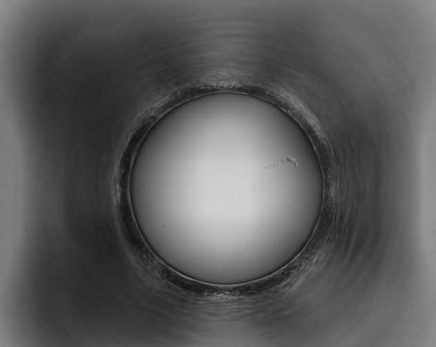 X0000093480635200710120955