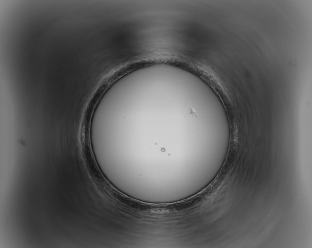 X0000093480636200710120955
