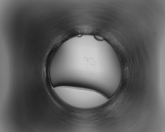 X0000093480638200710120955