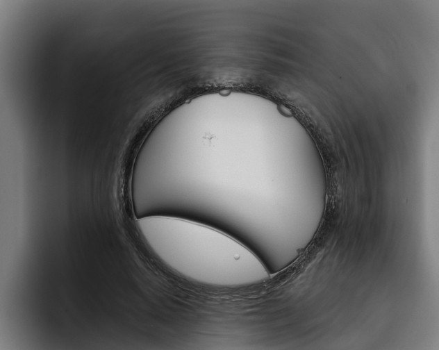 X0000093480640200710120955