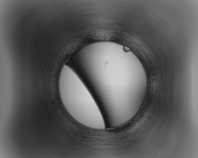 X0000093480641200710120955